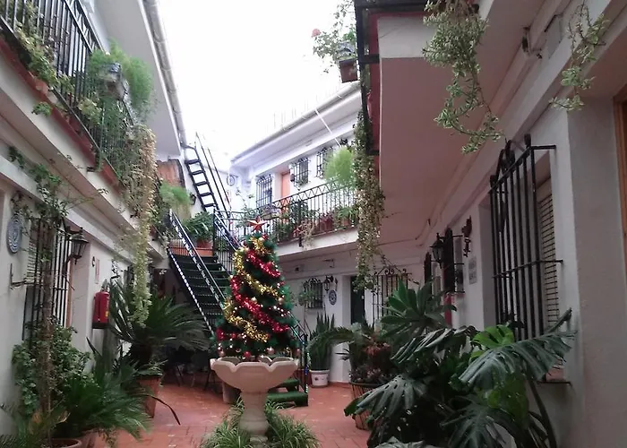 El Patio * Alhaurín de la Torre