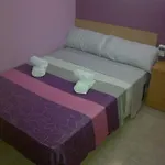 El Patio