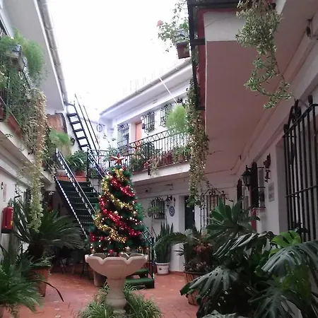 El Patio * Alhaurín de la Torre