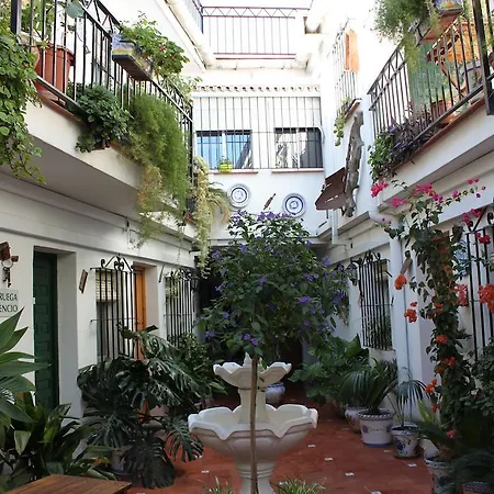 Konukevi El Patio Alhaurín de la Torre
