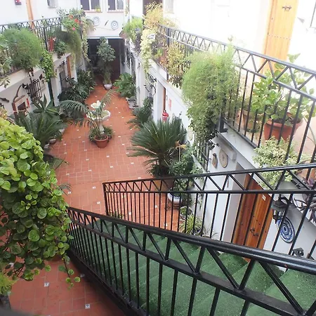 El Patio