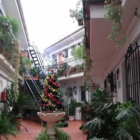 El Patio * Alhaurín de la Torre