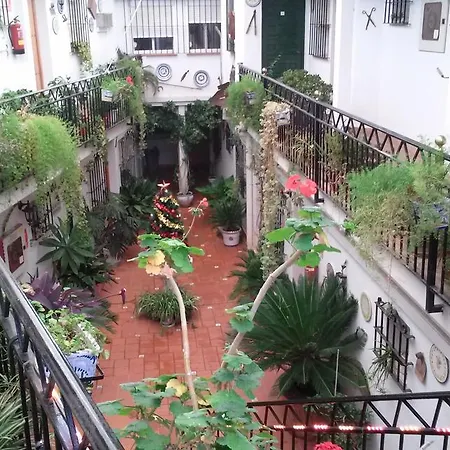 El Patio * Alhaurín de la Torre